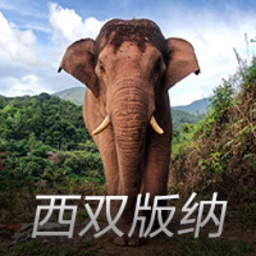官方：本赛季CBA半决赛和总决赛将有6名外籍裁判员执裁